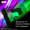 Bluesoil feat Diana Waite - No Matter Original Mix