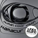 Human Color Vision - HAMACUR Original Mix