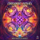 Organic Soup - Remonstrance Original Mix