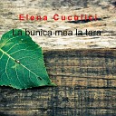 Elena Cuculici - La bunica mea la tara