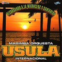 Marimba Orquesta Usula Internacional - Negrura
