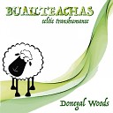 Donegal Woods feat O I G A - Humours of Ballyloughlin