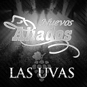 Nuevos Aliados - Amor De Los Dos