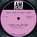 AmFlow feat JT - Where You Belong Amflow Mix Vox