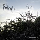 Petrale - Jahman Furney and Tayla cover