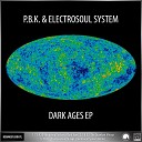 P B K - The Quantum Mirage Electrosoul System Remix