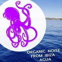 Organic Noise From Ibiza - In The Room Club Extended Mix