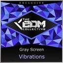 Gray Screen - Vibrations Original Mix