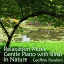 Geoffrey Favaloro - Relaxation Music Gentle Piano with Birds in…