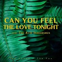 The Hound The Fox - Can You Feel The Love Tonight