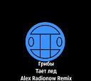 Грибы - Тает лед Alex Radionow Remix