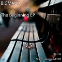 Bigmanu - Little Thing Original Mix