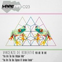 Vincenzo de Robertis - You Are The One System Of Survival Remix