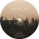 Bass Lab - Voices Original Mix