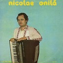 Nicolae Onil - Hora De La Fierbin i