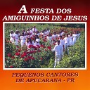 Pequenos Cantores de Apucarana - Que Coisa Bonita Missa Festa