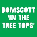 Domscott - In The Tree Tops Original Mix