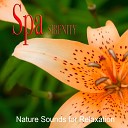 Music For Body And Soul - Zen Garden Relaxing SPA Music