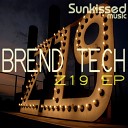 Brend Tech - Lover Flow Original Mix