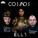 Elly Wild, D.Tarasyuk, Platinum Monkey - Cosmos (Kolya Funk & Shnaps Remix)