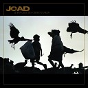 Joad - 1800 jours de mascarade