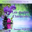 Damien Dubois - Le souffle des sylphes