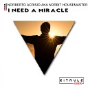 Norberto Acrisio aka Norbit Housemaster - I Need A Miracle Original Mix