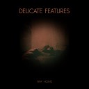 Delicate Features - Way Home Original Mix