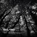Secluded - Misleading Original Mix