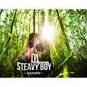 DJ Steavy Boy - Driver s Seat