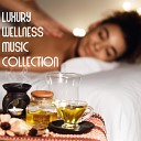Real Massage Music Collection Spa Music Zone - Voice of Earth