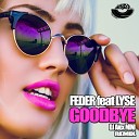 Feder feat Lyse - Goodbye DJ AlexMini Radio Mix
