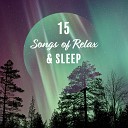 Calming Music Ensemble Rest Relax Nature Sounds Artists Nature Sounds… - REM Deepest Phase