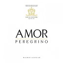 Walmir Alencar - Amor Peregrino