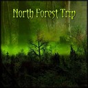 Psychedelic - North Forest Trip