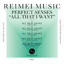 Perfect Senses - All That I Want Original Mix