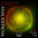 Sterling Void feat Ian Campbell - Wonder Why RB 388 Fusion Mix