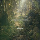 Maskedsound - Journey Through A Forest