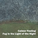 Calmer Feeling - Fog in the Light of the Night