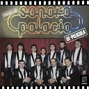 Sonora Palacio - Los Compadres