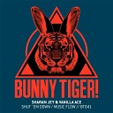Sharam Jey Vanilla Ace - Shut Em Down Original Mix FDM