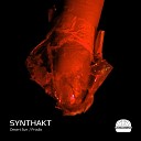 Synthakt - Desert Sun