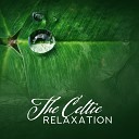 Silent Meditation Zone - De Stress Song