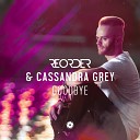 ReOrder Cassandra Grey - Goodbye Omnia Remix