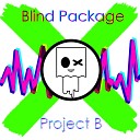 Blind Package - Project B