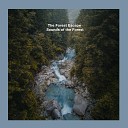 The Forest Escape - Rain by Little River