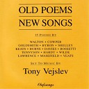 Tony Vejslev - Song from The Princess