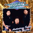 Orquesta Morales de Capacuaro Michoacan - Dos Hermanos