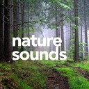 Sounds Of Nature - By The Water Stream Original Mix