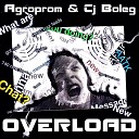 Cj Boleg Agroprom - Overload Original Mix